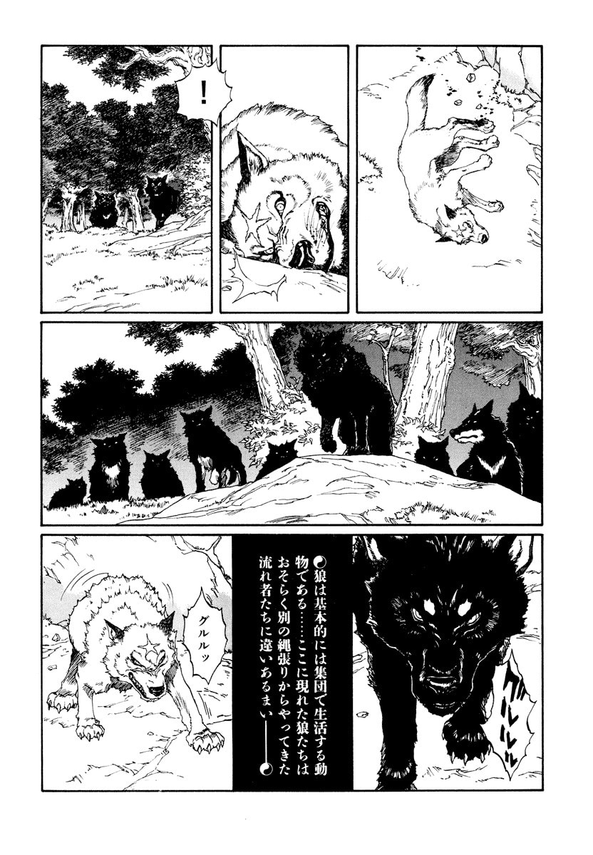 Dũng Sĩ RaiKa Volume 11 - 256