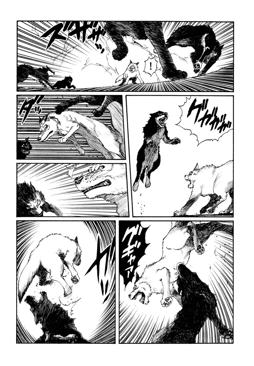 Dũng Sĩ RaiKa Volume 12 - 2