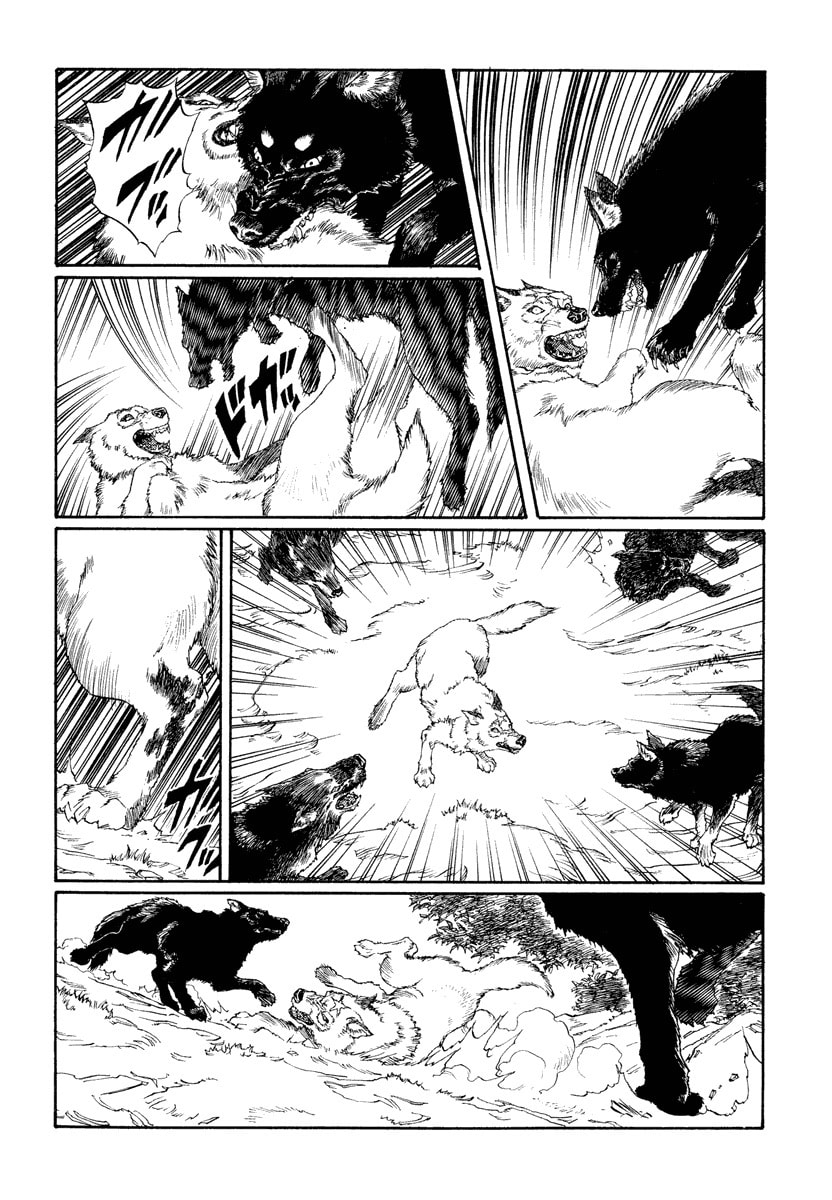 Dũng Sĩ RaiKa Volume 12 - 4