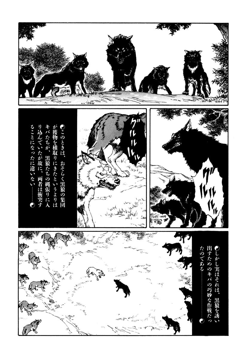 Dũng Sĩ RaiKa Volume 13 - 24