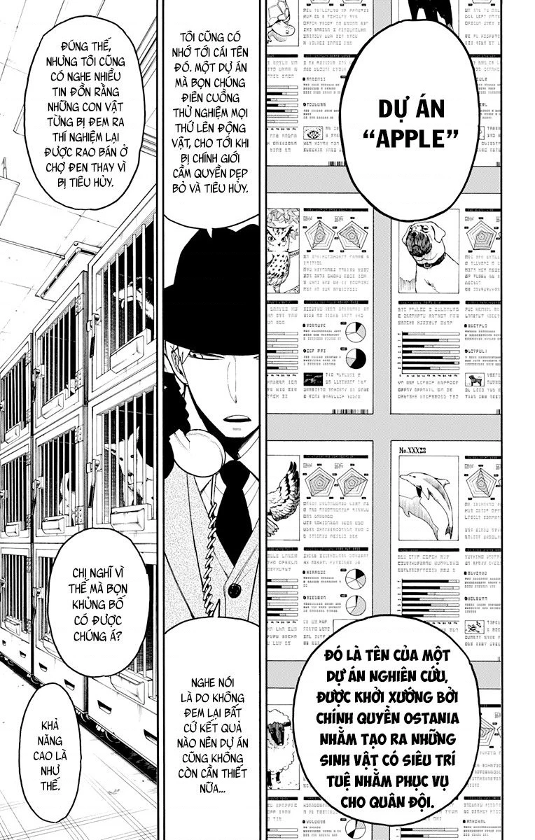 Gia Đình Điệp Viên Chapter 19 - 8