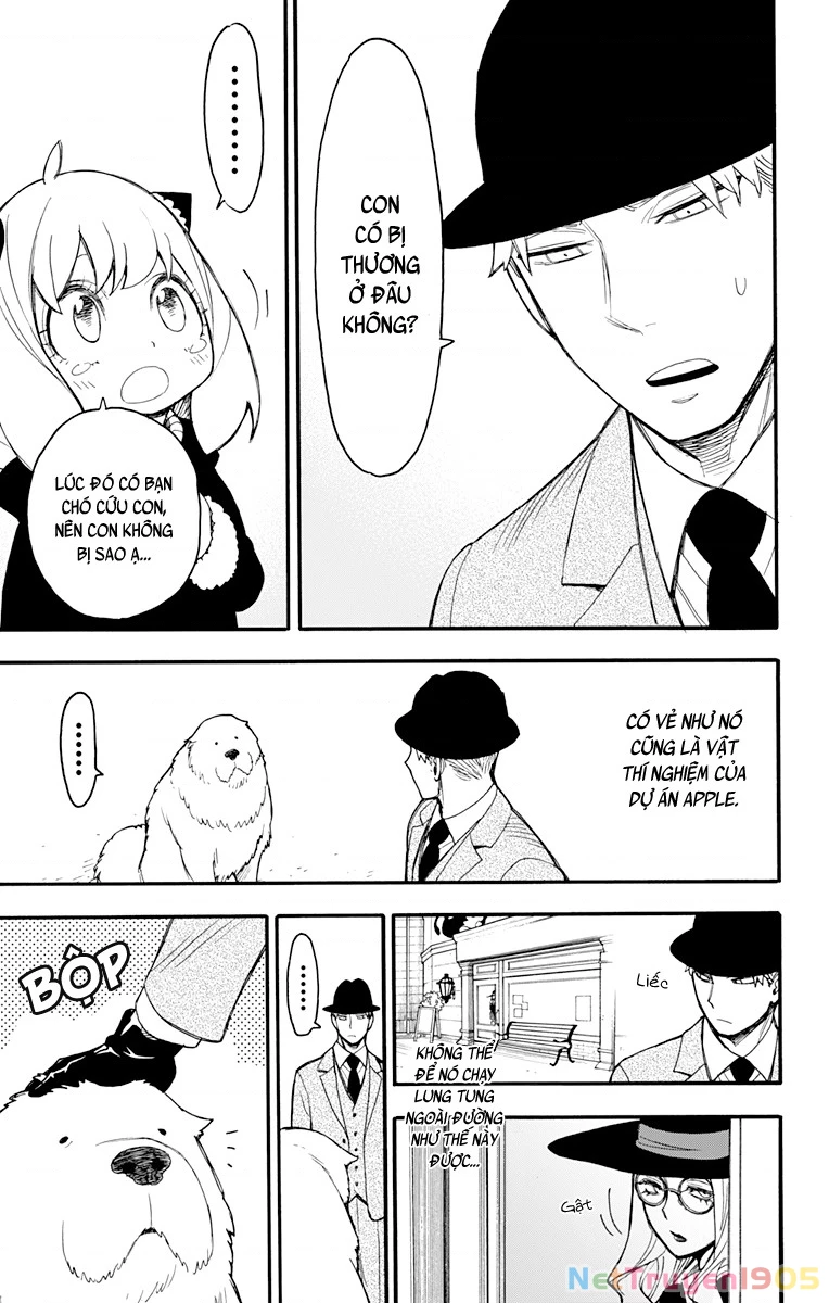 Gia Đình Điệp Viên Chapter 22 - 15