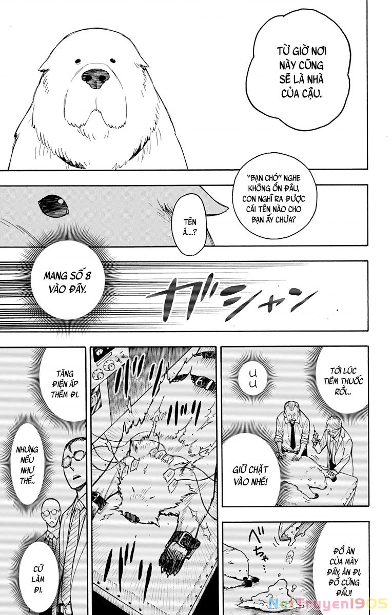 Gia Đình Điệp Viên Chapter 22 - 27