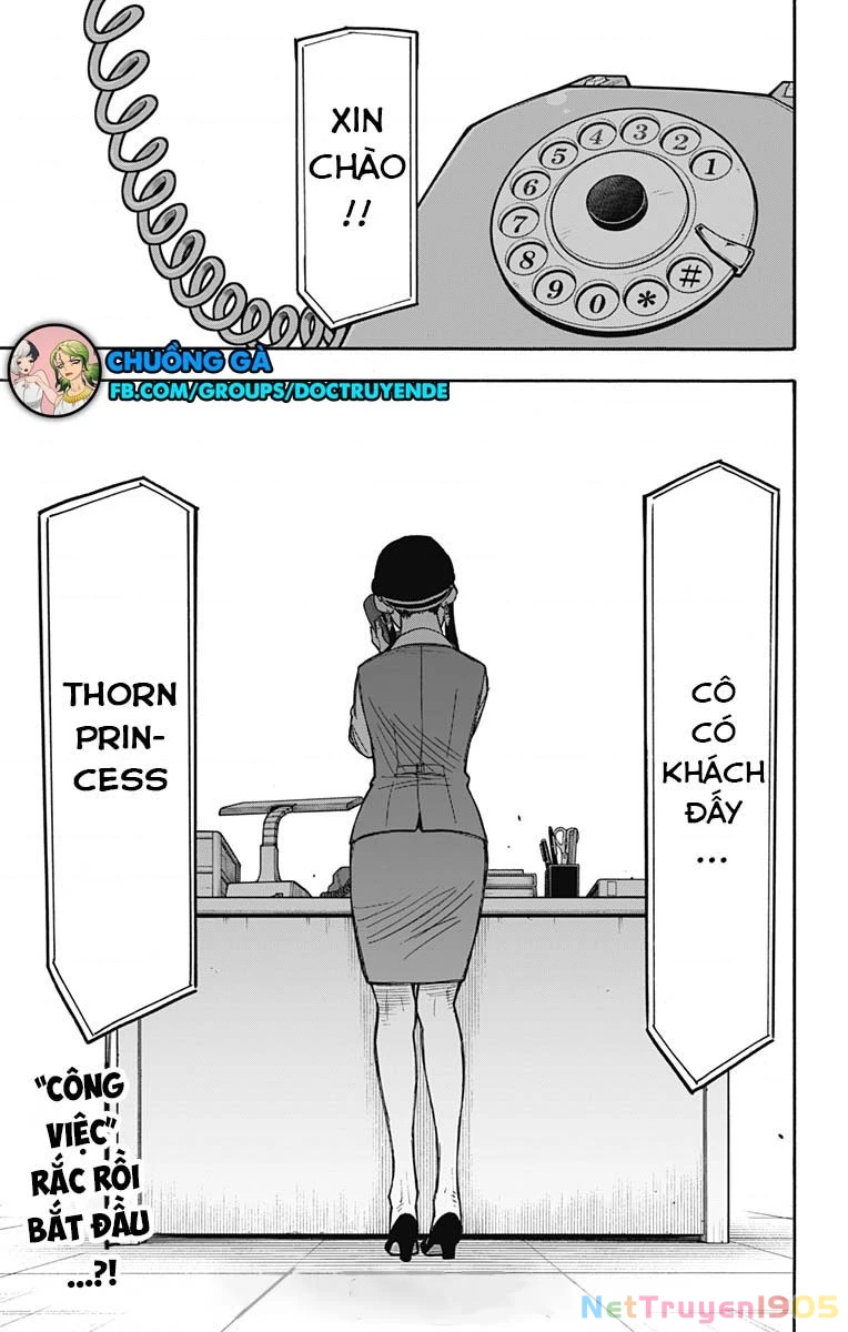 Gia Đình Điệp Viên Chapter 43 - 22