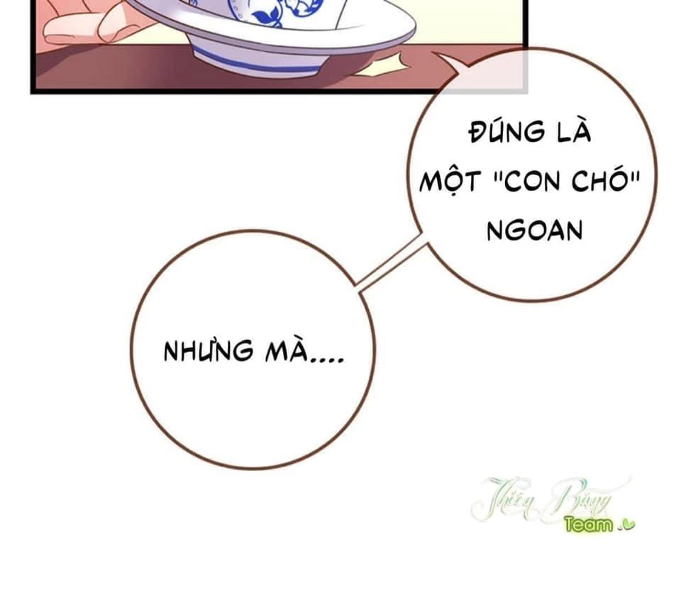 Vạn Tra Triêu Hoàng Chapter 7 - 11