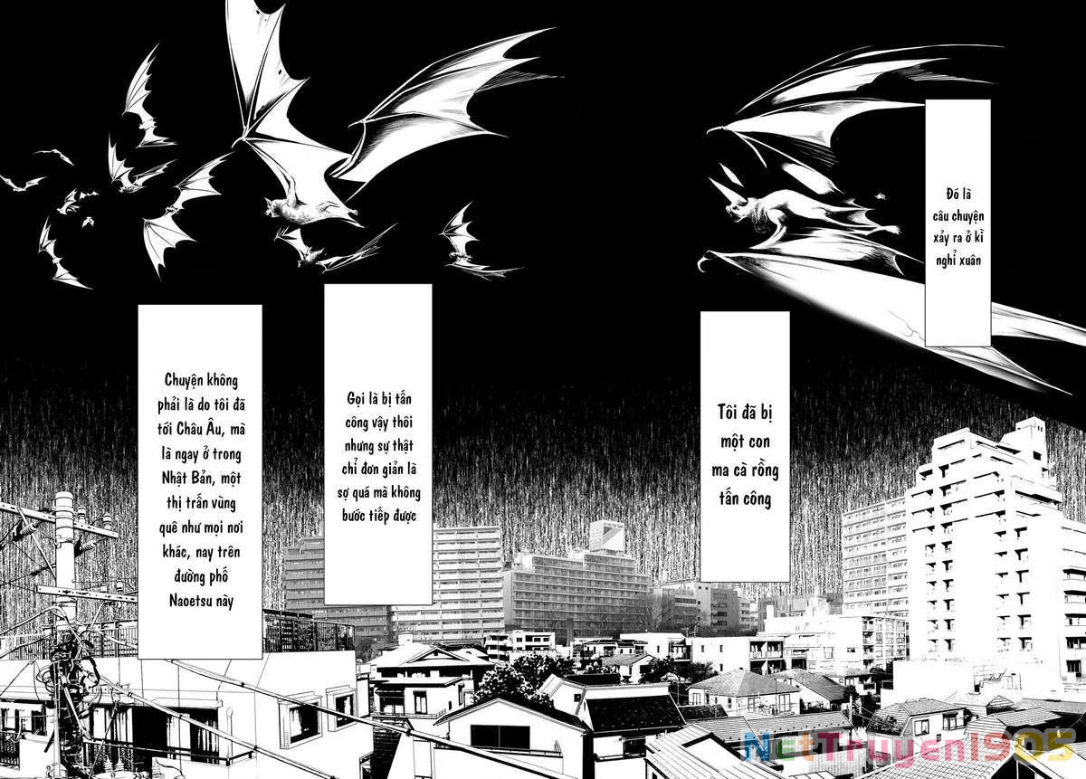 Những Câu Chuyện Huyền Bí Chapter 1 - 52