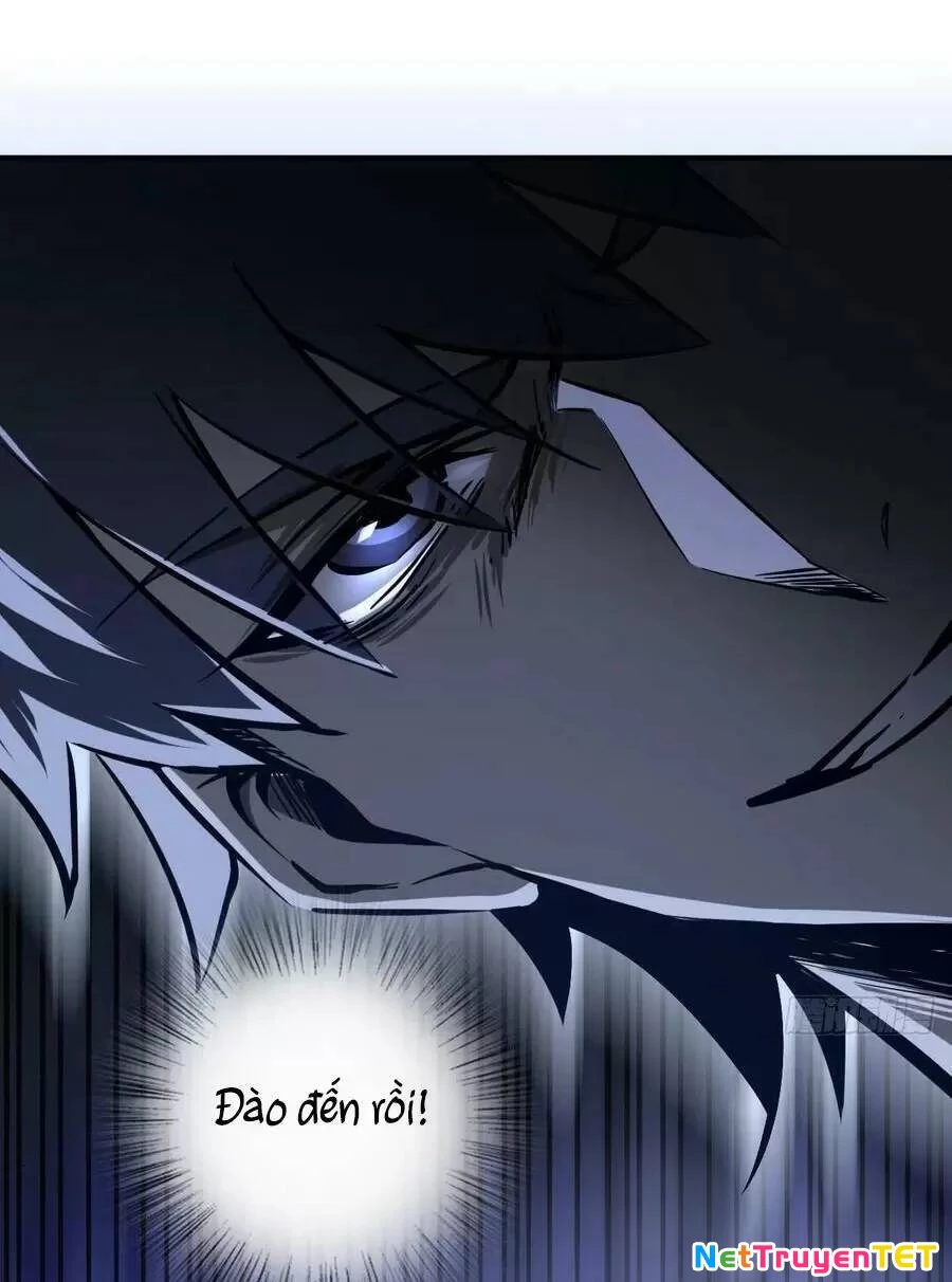 Bắt Đầu Từ Cửu Đầu Điểu Chapter 140 - Trang 2