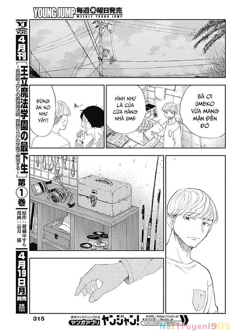 Seinen Shoyo Yo, Haru Wo Musabore Chapter 13 - 13