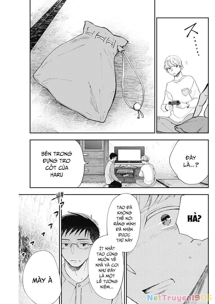 Seinen Shoyo Yo, Haru Wo Musabore Chapter 15 - 13