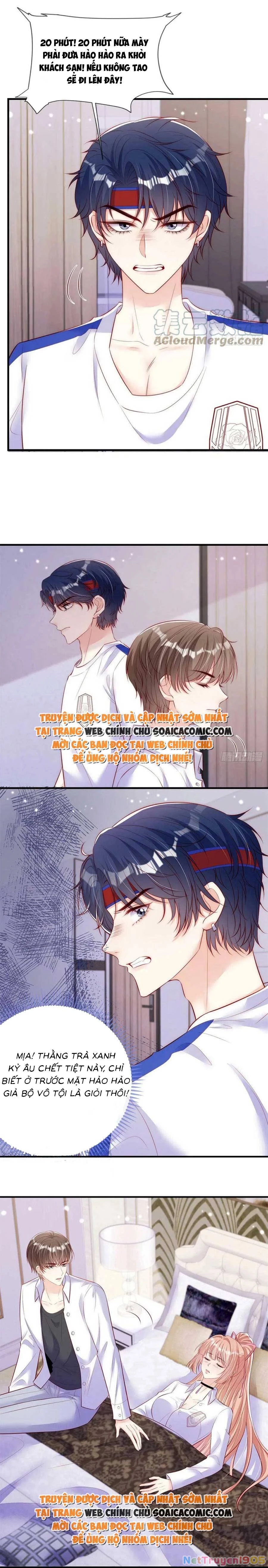 Tôi Được Năm Đại Lão Chiều Chuộng Hết Nấc Chapter 61 - 4