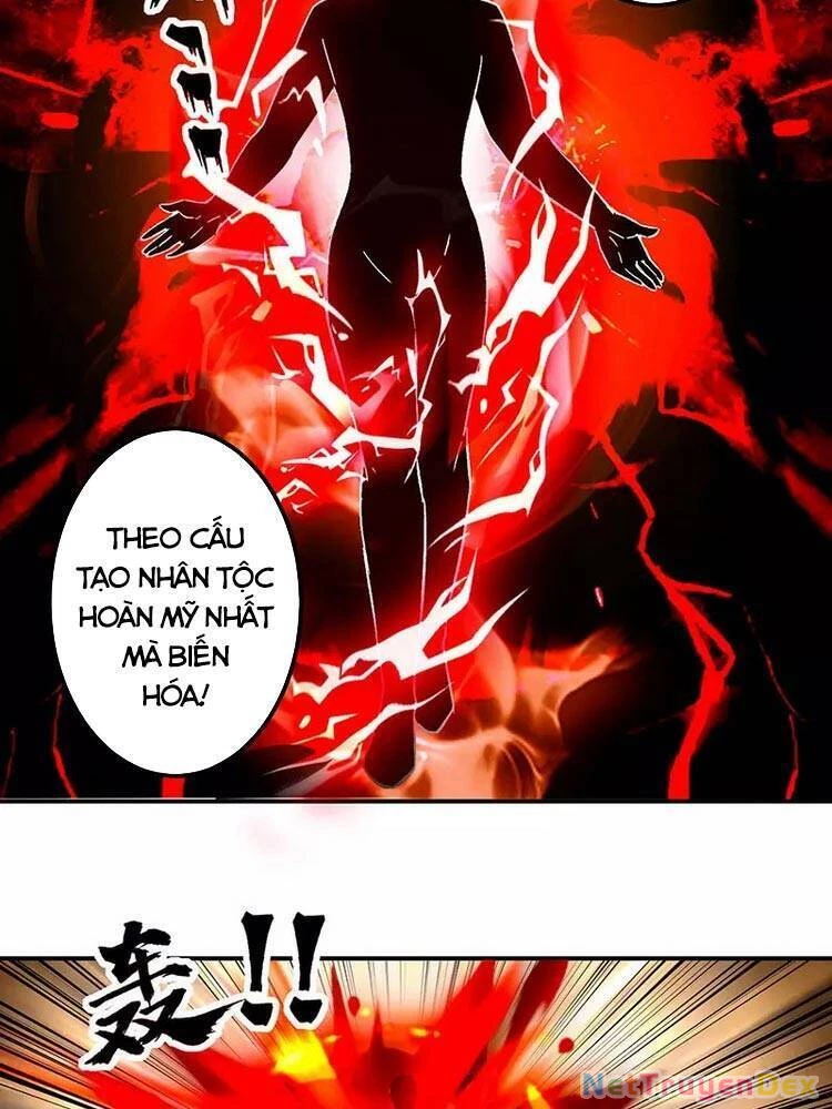 Võ Đạo Độc Tôn Chapter 296 - 26