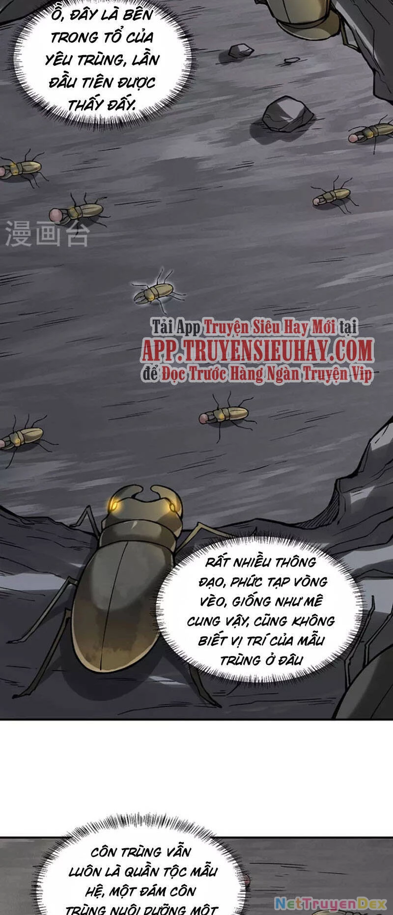 Võ Đạo Độc Tôn Chapter 383 - 20