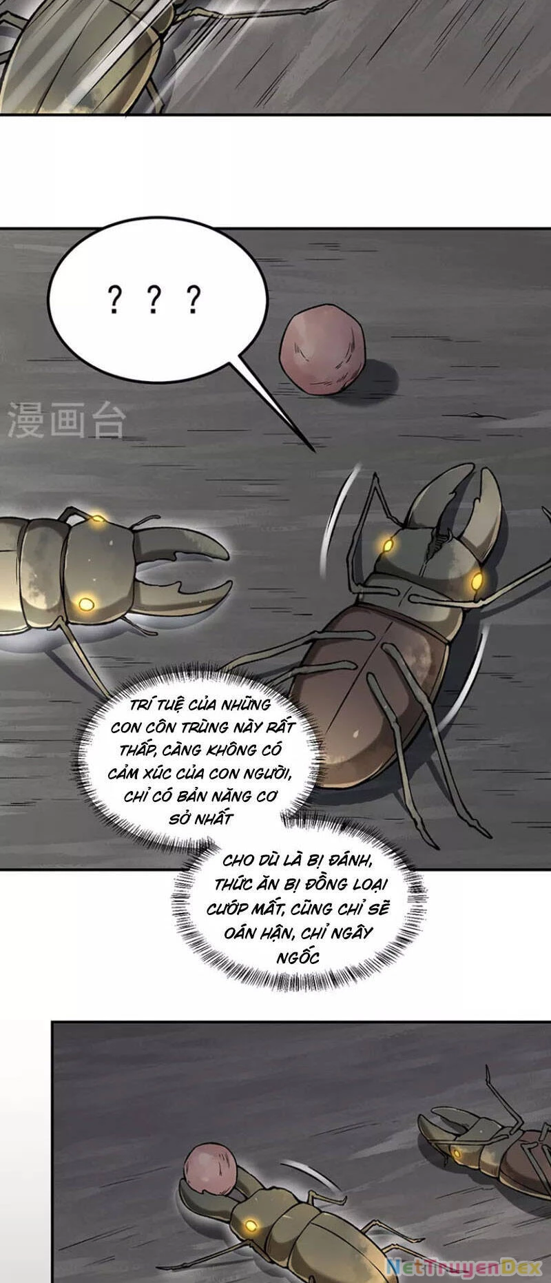 Võ Đạo Độc Tôn Chapter 383 - 23