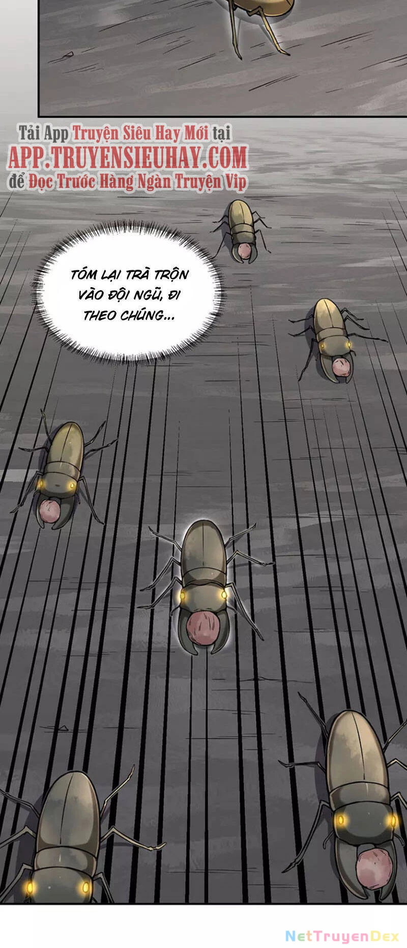 Võ Đạo Độc Tôn Chapter 383 - 24