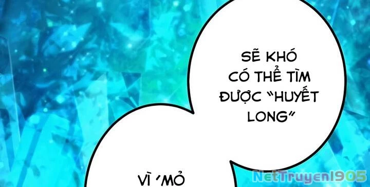 Sự Tái Sinh Của Đại Pháp Sư Bị Phong Ấn Chapter 31 - 104