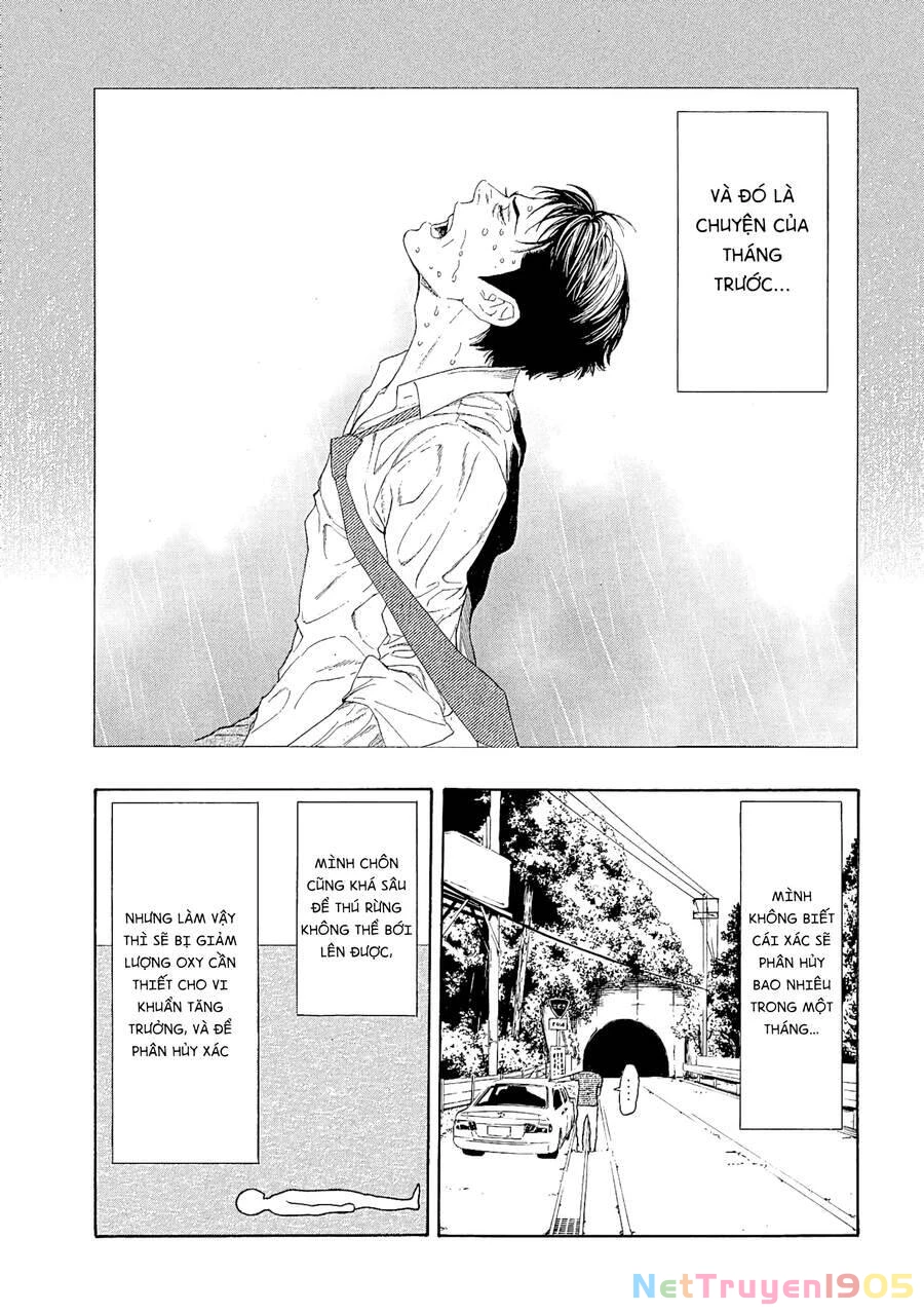 My Home Hero Chapter 51 - 7