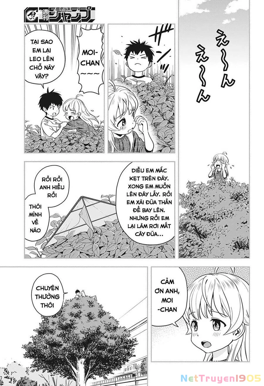 Kẻ Bảo Vệ Phù Thủy Là Một Orge Chapter 10 - 8