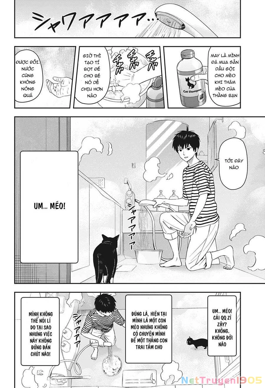 Kẻ Bảo Vệ Phù Thủy Là Một Orge Chapter 21 - 9