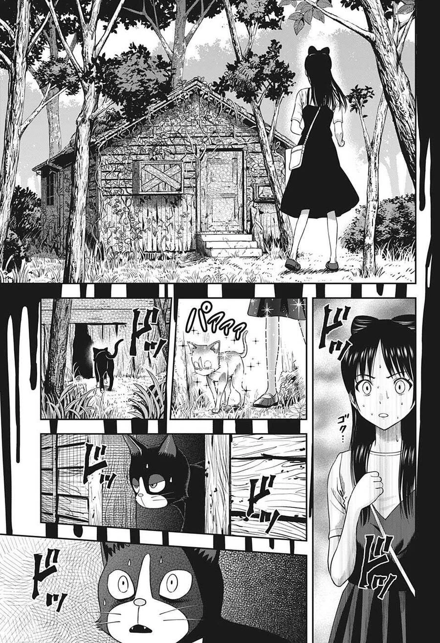 Kẻ Bảo Vệ Phù Thủy Là Một Orge Chapter 21 - 18