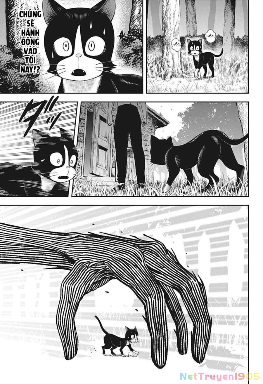 Kẻ Bảo Vệ Phù Thủy Là Một Orge Chapter 24 - 19