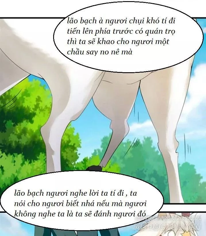 Tuyệt Sắc Quyến Rũ: Quỷ Y Chí Tôn Chapter 122 - 26