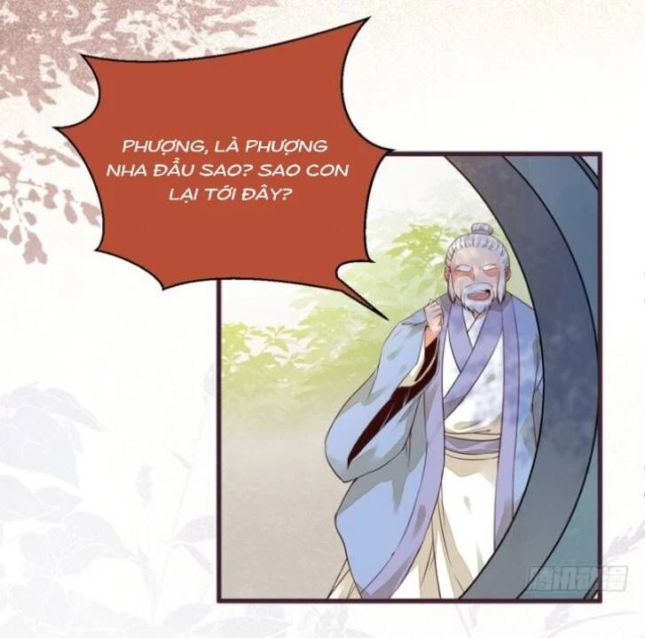 Tuyệt Sắc Quyến Rũ: Quỷ Y Chí Tôn Chapter 214 - 26