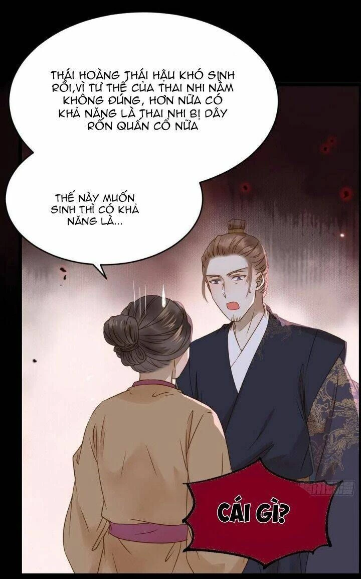 Tuyệt Sắc Quyến Rũ: Quỷ Y Chí Tôn Chapter 316 - 36