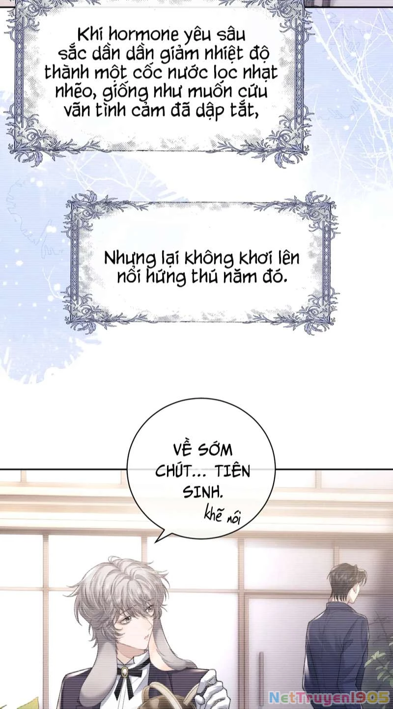 Chấp Sự Thỏ Cụp Tai Chapter 52 - 12