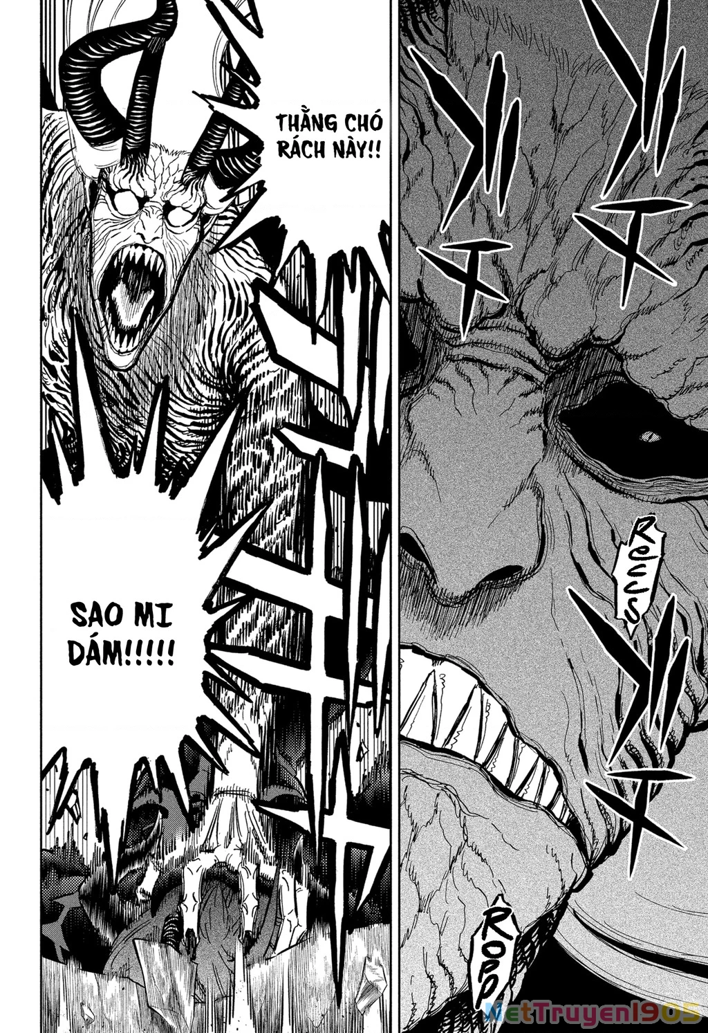Black Clover - Thế Giới Phép Thuật Chapter 320 - 4