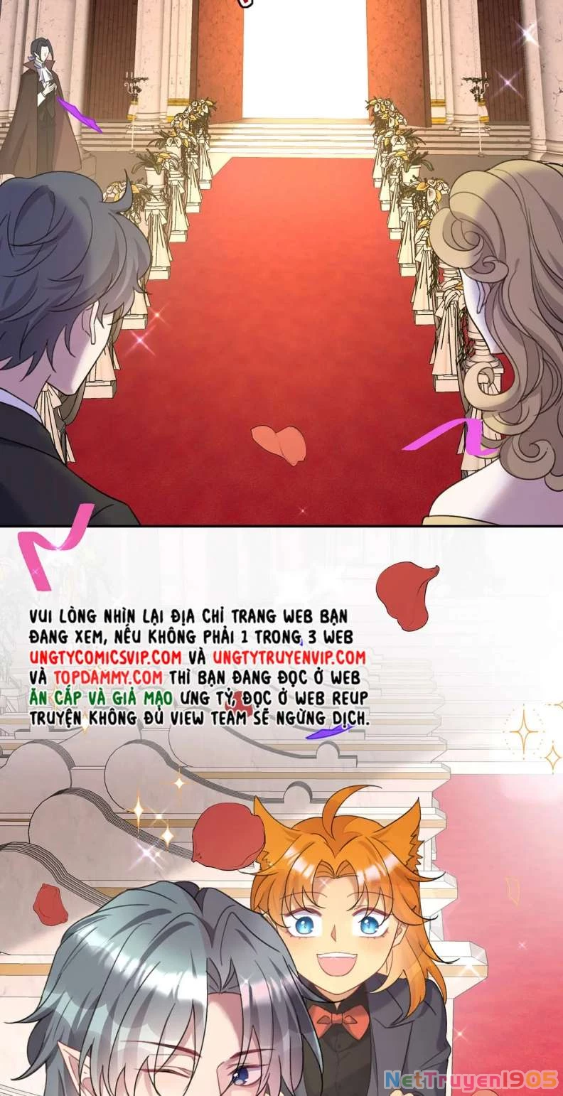 Dẫn Sói Vào Phòng Chapter 185 - 5