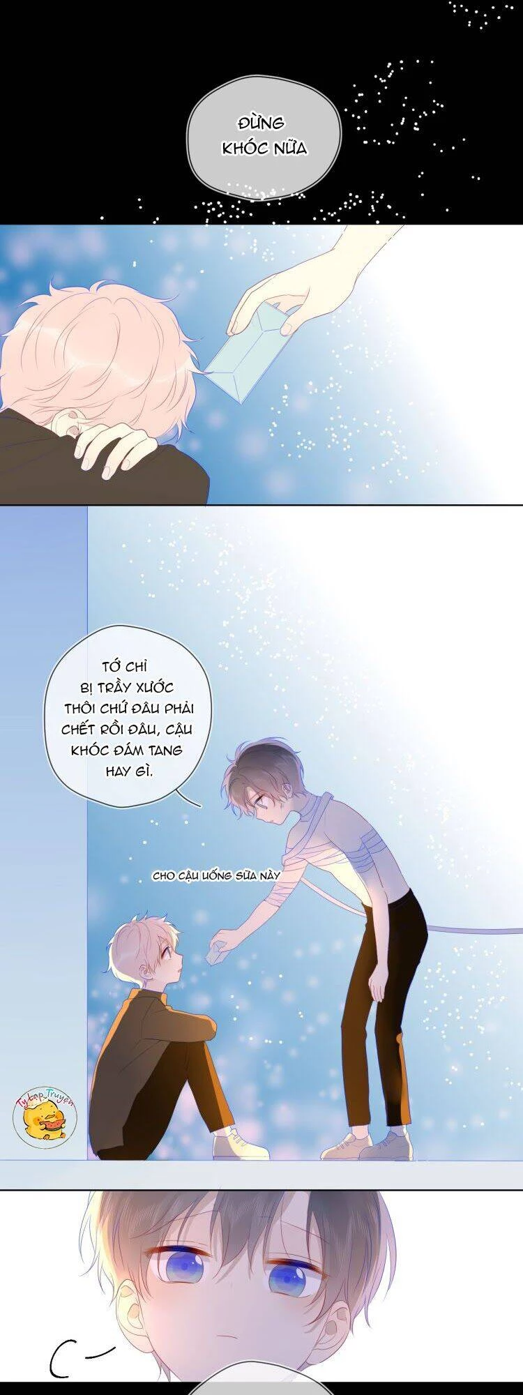[Fix lỗi từ 110] Ngôi Sao Cho Tôi Chapter 24 - 42