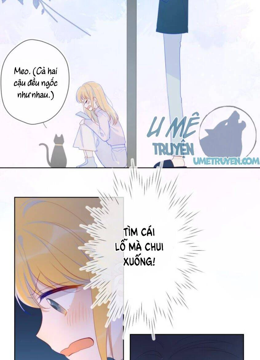 [Fix lỗi từ 110] Ngôi Sao Cho Tôi Chapter 25 - 20