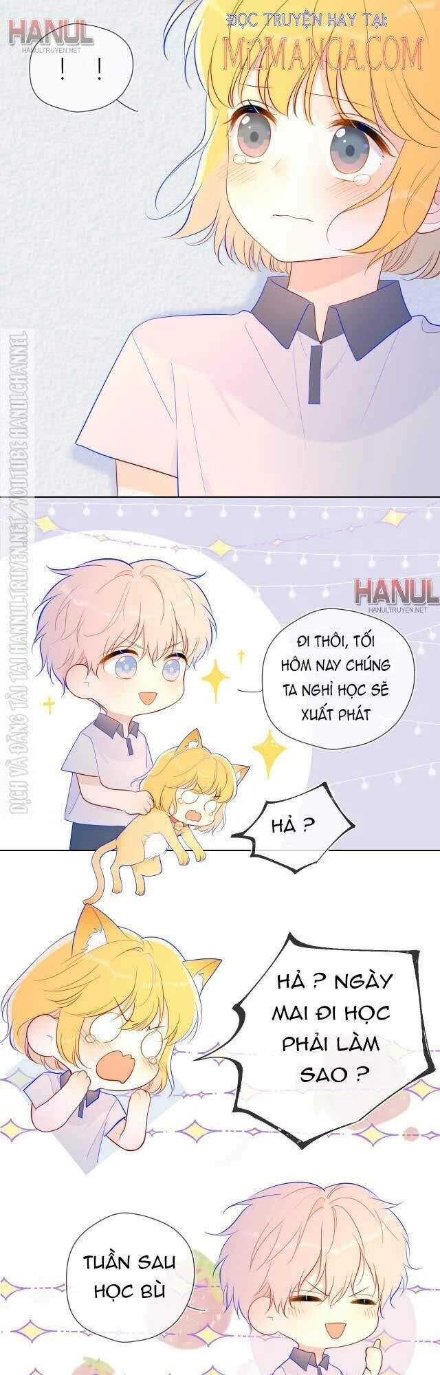 [Fix lỗi từ 110] Ngôi Sao Cho Tôi Chapter 62 - 6