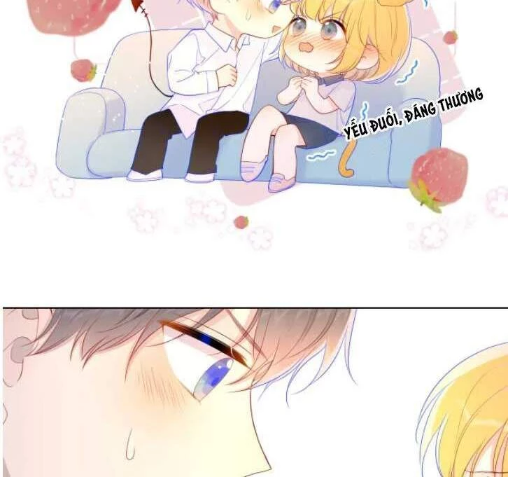 [Fix lỗi từ 110] Ngôi Sao Cho Tôi Chapter 65 - 3
