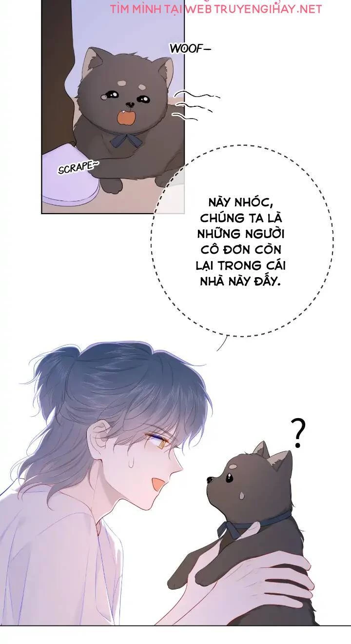 [Fix lỗi từ 110] Ngôi Sao Cho Tôi Chapter 101 - 6