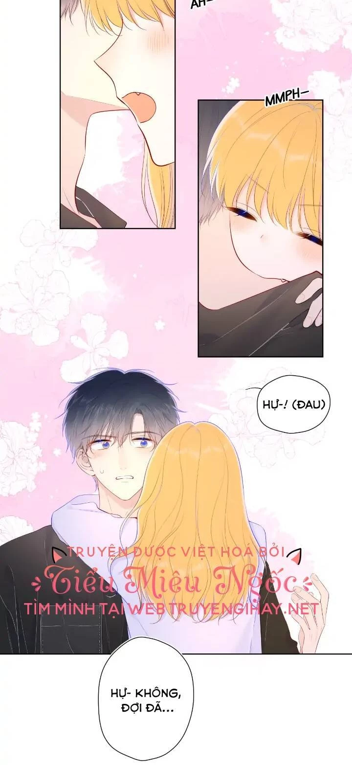 [Fix lỗi từ 110] Ngôi Sao Cho Tôi Chapter 103 - 26