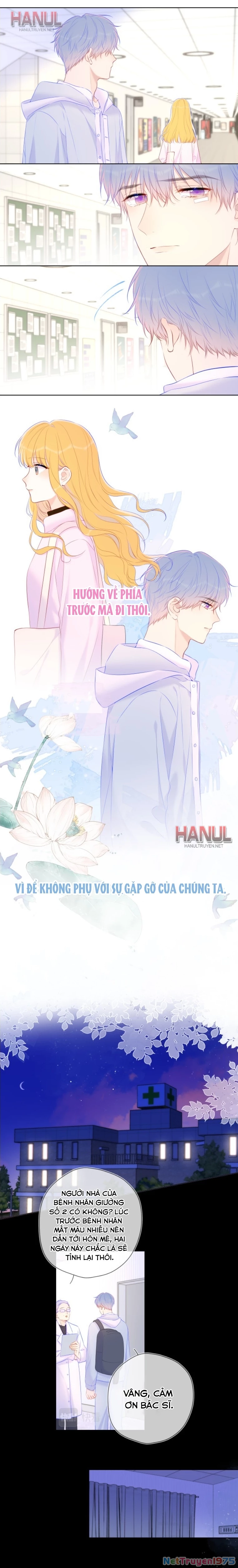 [Fix lỗi từ 110] Ngôi Sao Cho Tôi Chapter 127 - 7