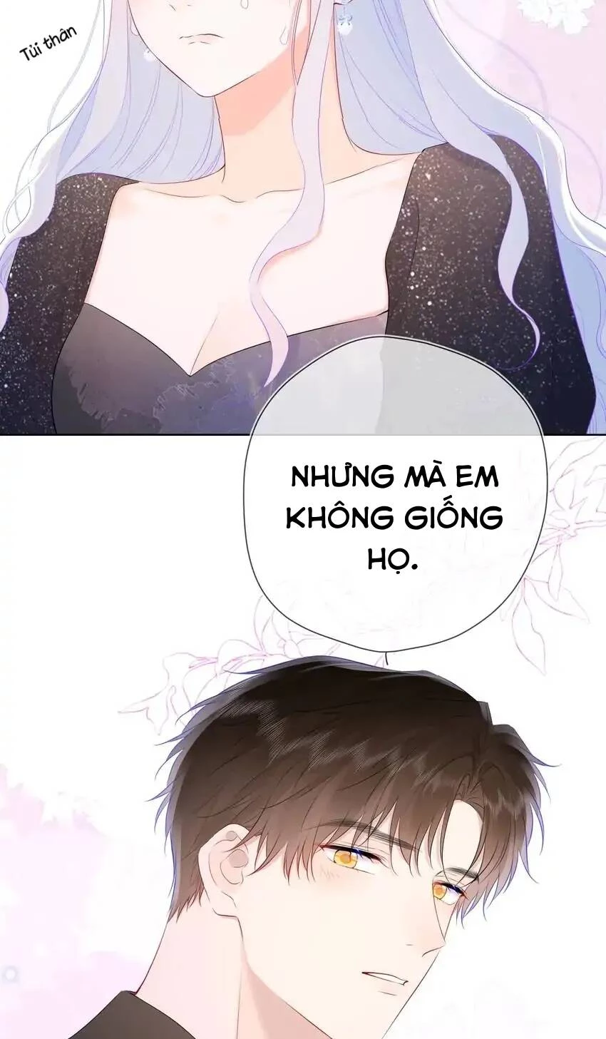 [Fix lỗi từ 110] Ngôi Sao Cho Tôi Chapter 130 - 39