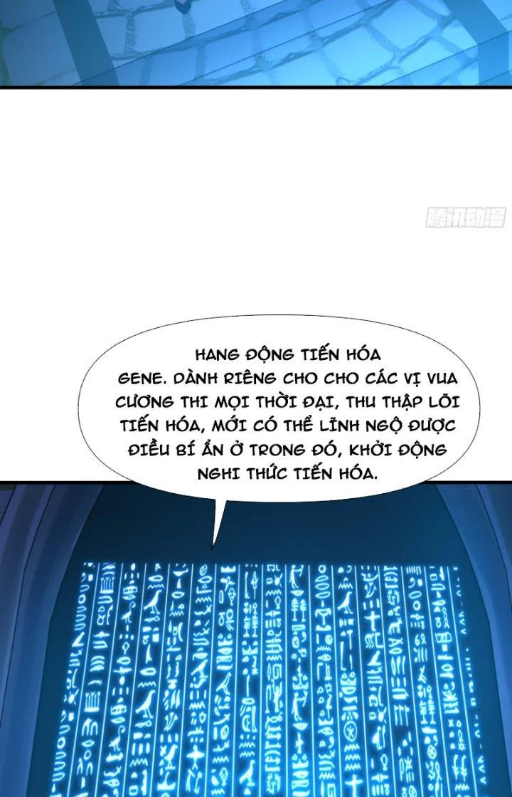Sau Khi Kết Hợp Với Nữ Thần, Ta Bất Khả Chiến Bại! Chapter 13 - 49