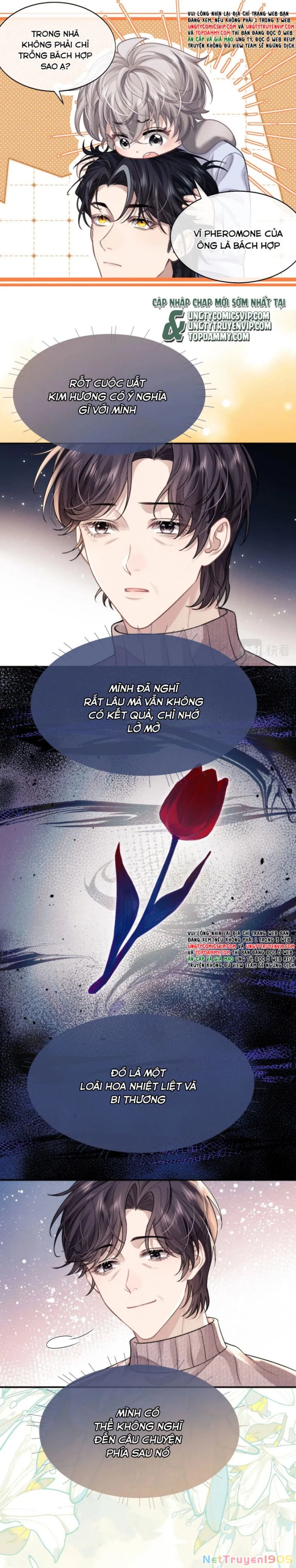 Chấp Sự Thỏ Cụp Tai Chapter 53.2 - 14