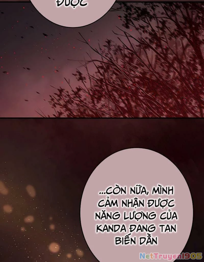 Sự Tái Sinh Của Đại Pháp Sư Bị Phong Ấn Chapter 51 - 4