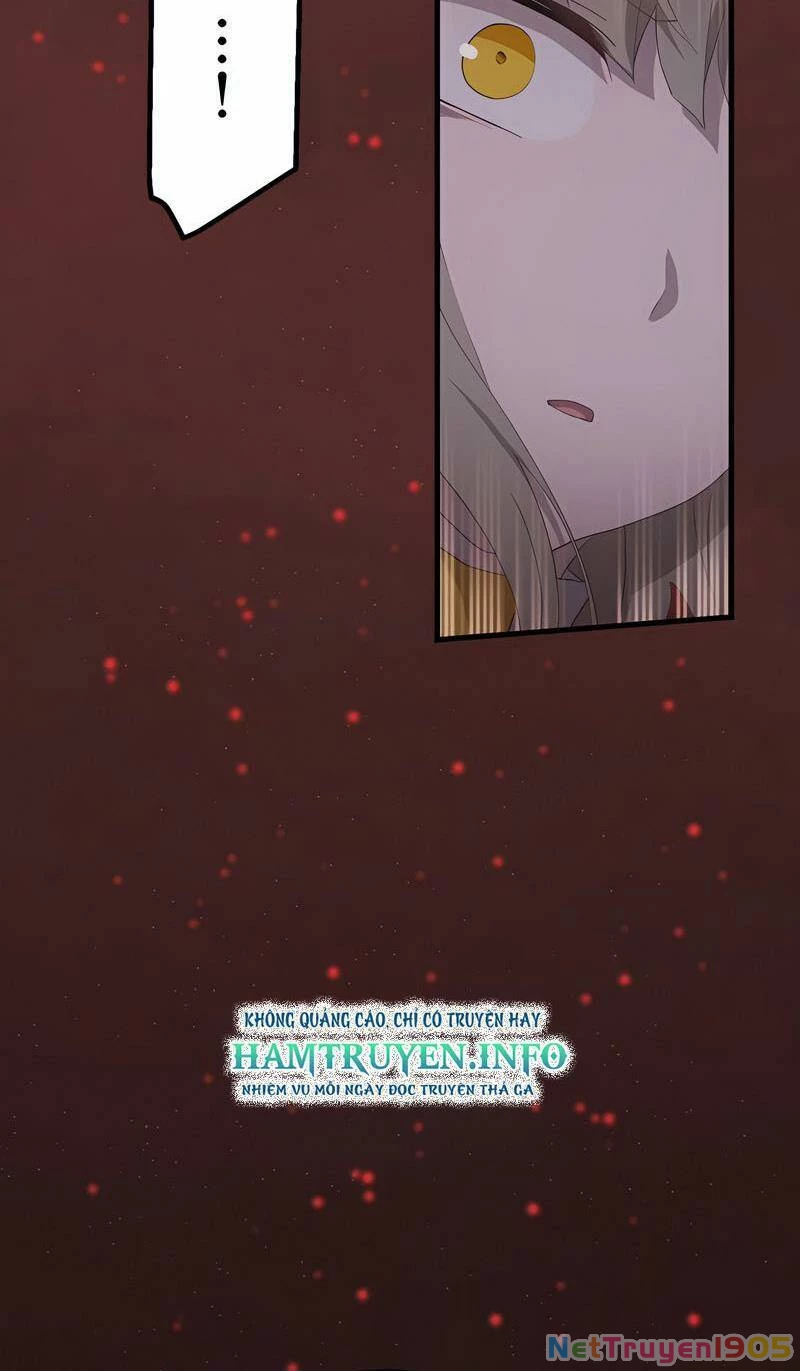 Sự Tái Sinh Của Đại Pháp Sư Bị Phong Ấn Chapter 51 - 56