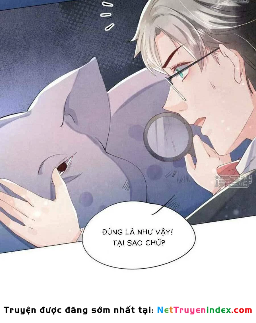 Tôi Có Ông Chồng Hay Ghen Chapter 95 - 30