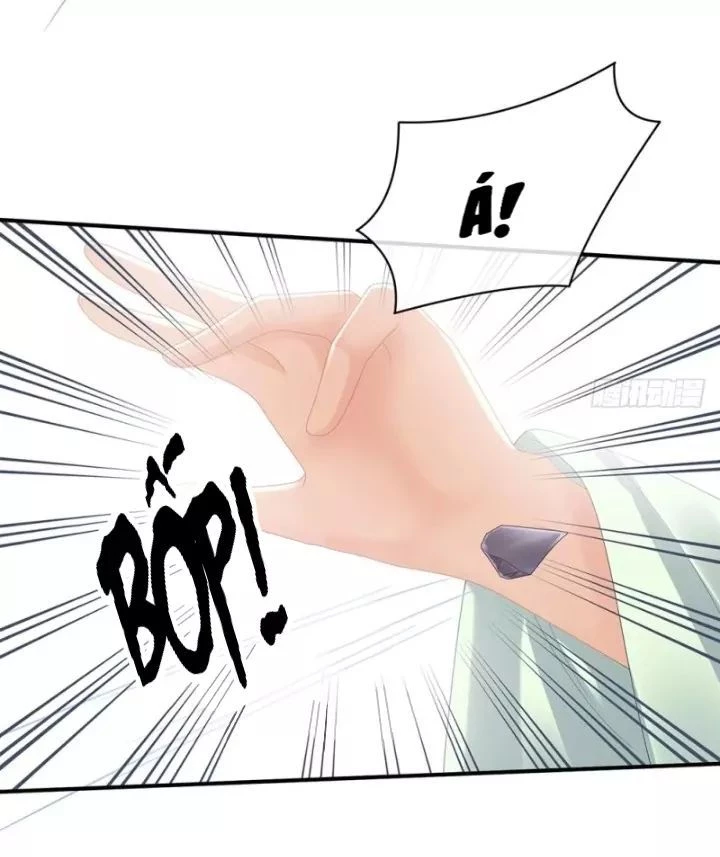 Hậu Cung Của Nữ Đế Chapter 28.2 - 29