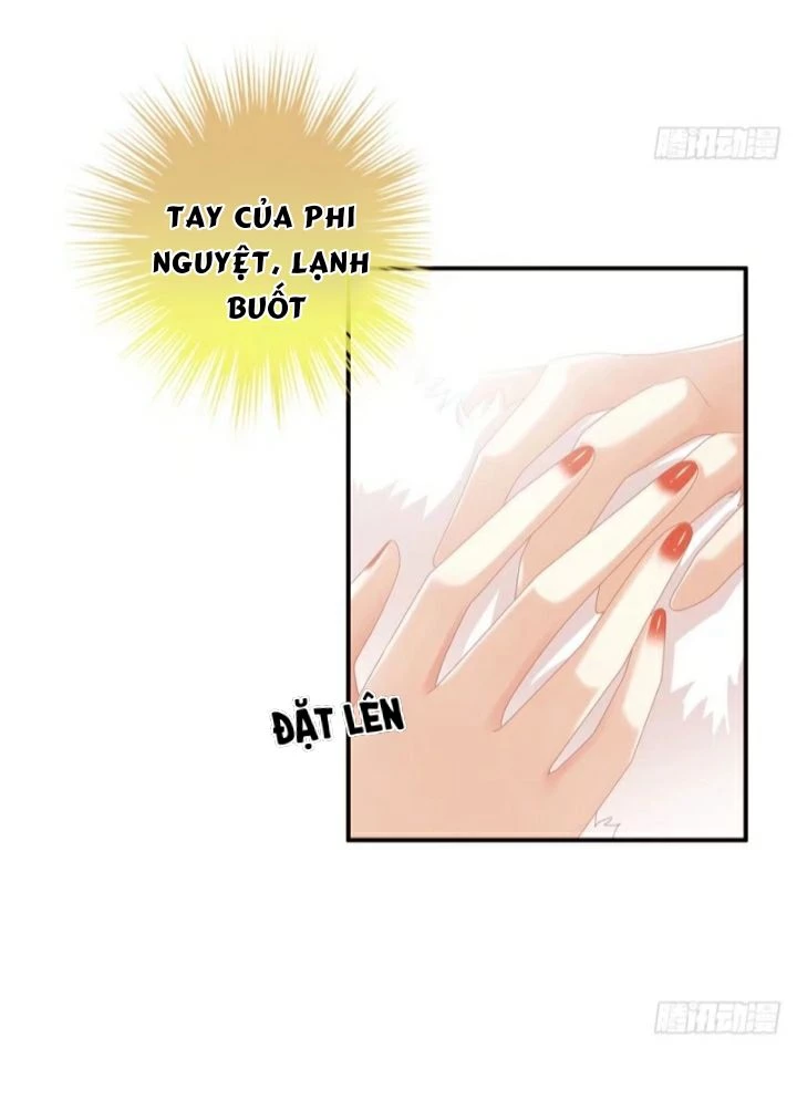 Hậu Cung Của Nữ Đế Chapter 39 - 12