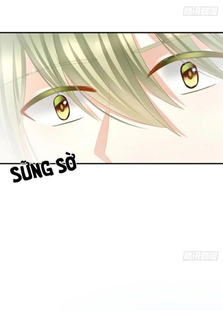 Hậu Cung Của Nữ Đế Chapter 39 - 14