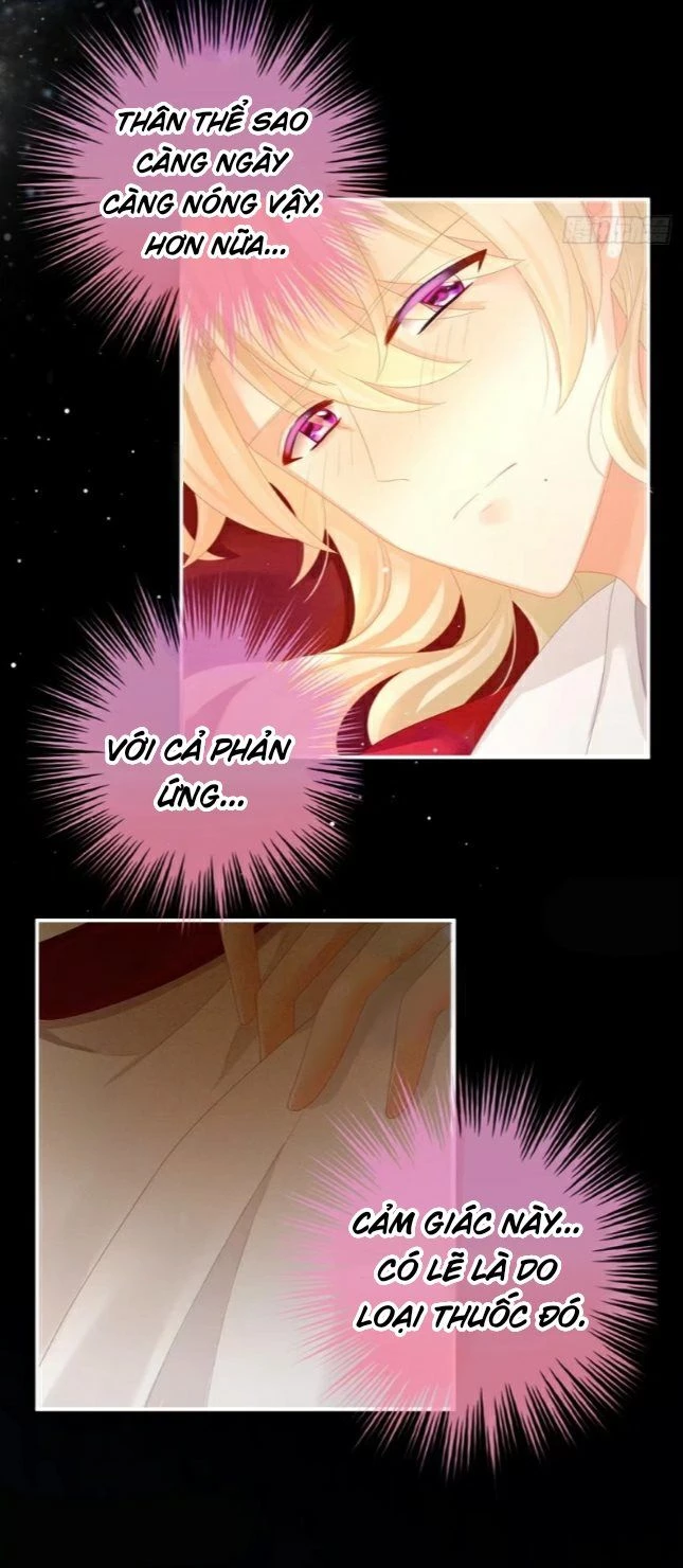 Hậu Cung Của Nữ Đế Chapter 55 - 19