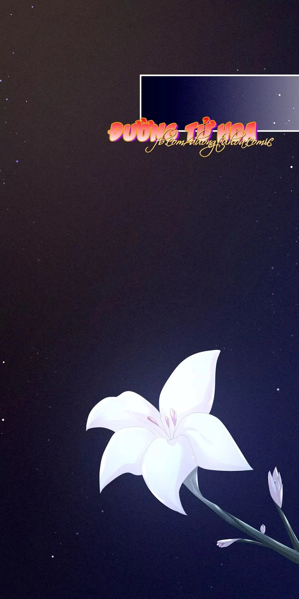 Hậu Cung Của Nữ Đế Chapter 56 - 11