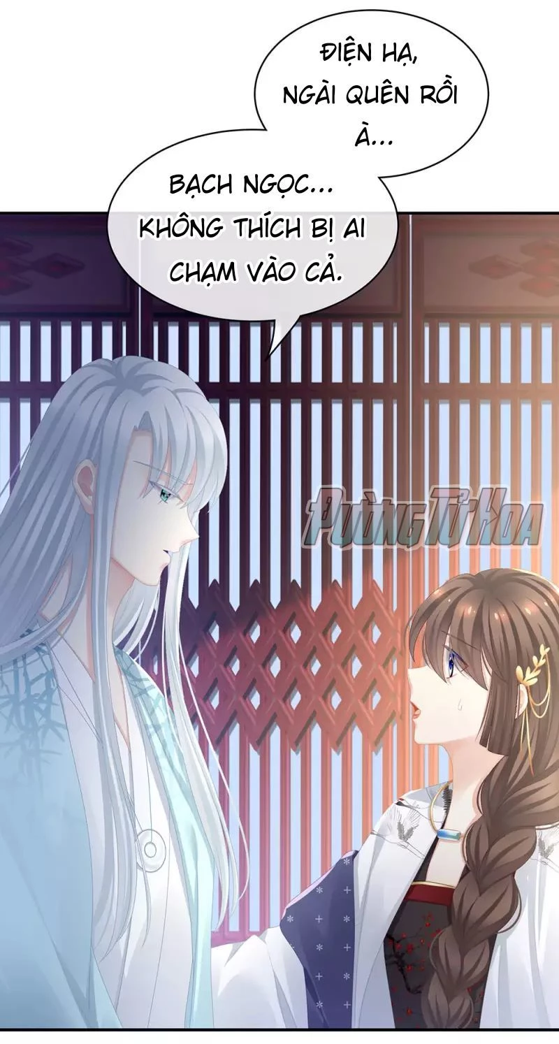 Hậu Cung Của Nữ Đế Chapter 72 - 31