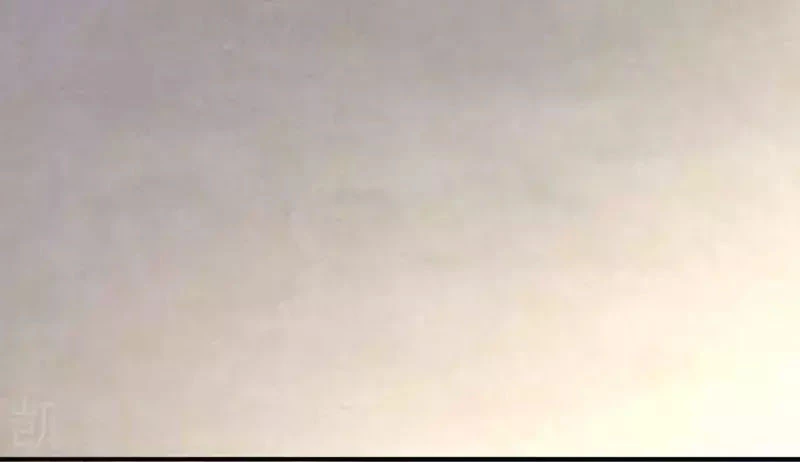 Hậu Cung Của Nữ Đế Chapter 74 - 12